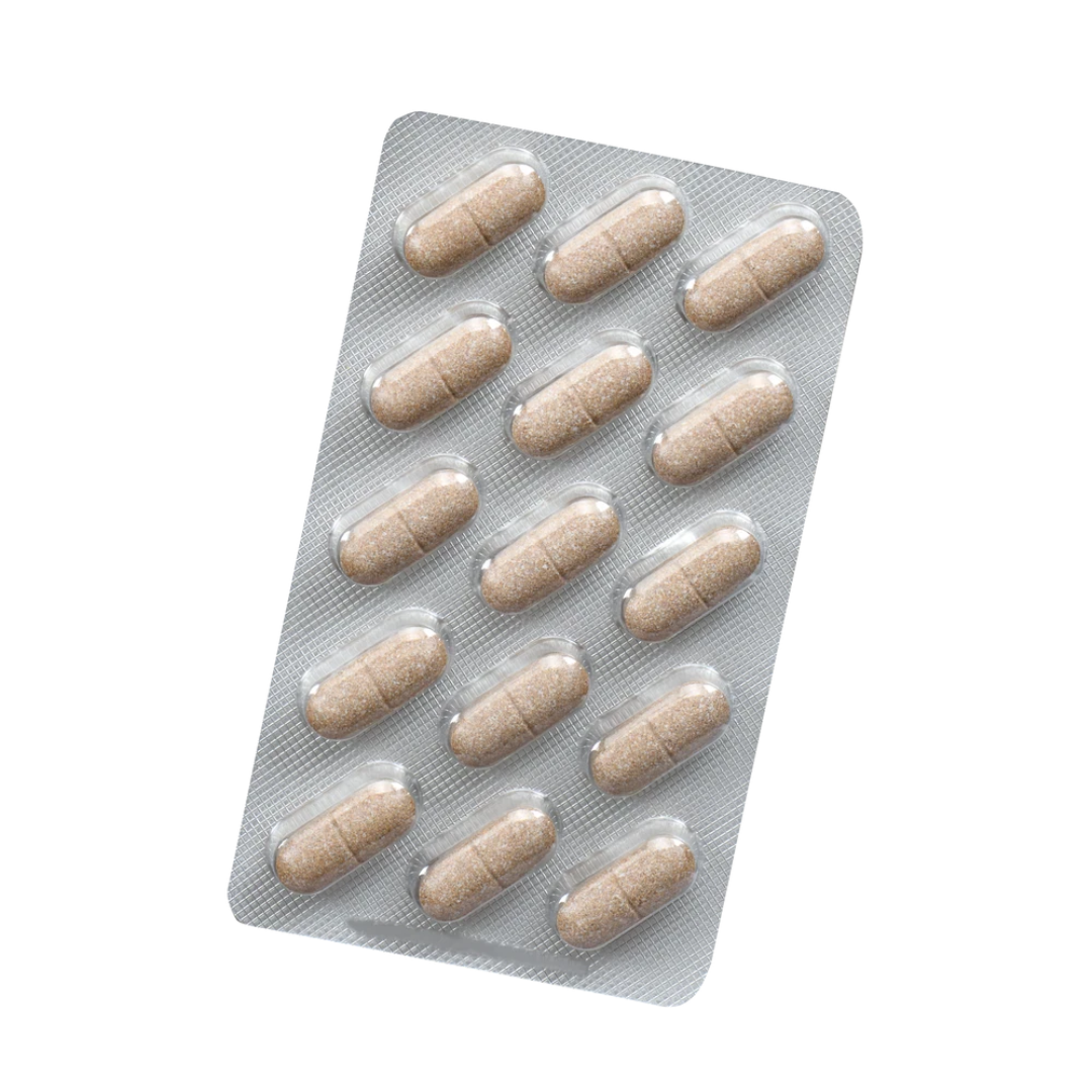Blisterpackung Salus Momordica Tabletten – braune Tabletten mit Bittermelone, Zimt und Chrom