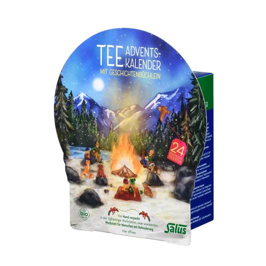 Salus Tee Adventskalender – 24 verschiedene Bio-Teesorten in festlicher Auswahl