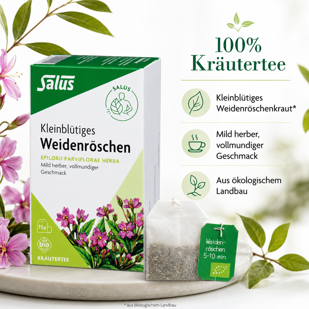 Salus 100 Prozent Kräutertee aus Kleinblütigem Weidenröschenkraut mit mild herbem Geschmack