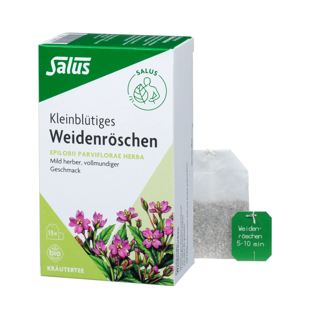 Salus Weidenröschen Tee bio – Packung und Teebeutel, 15 Bio-Filterbeutel kleinblütiges Weidenröschenkraut, mild-herber Geschmack