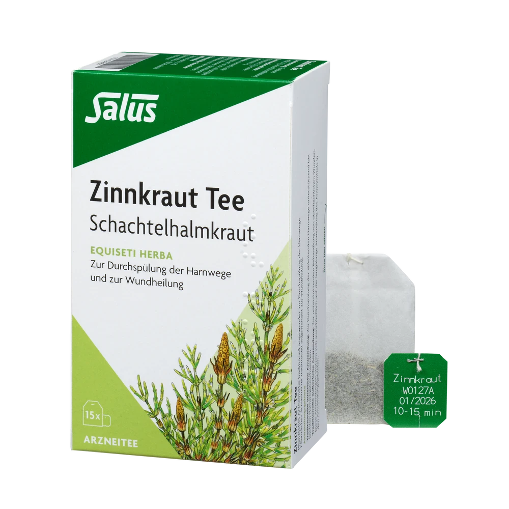 Salus Zinnkraut Tee Packung mit einzelnem Teebeutel – pflanzliches Arzneimittel aus Schachtelhalmkraut für Harnwege und Haut