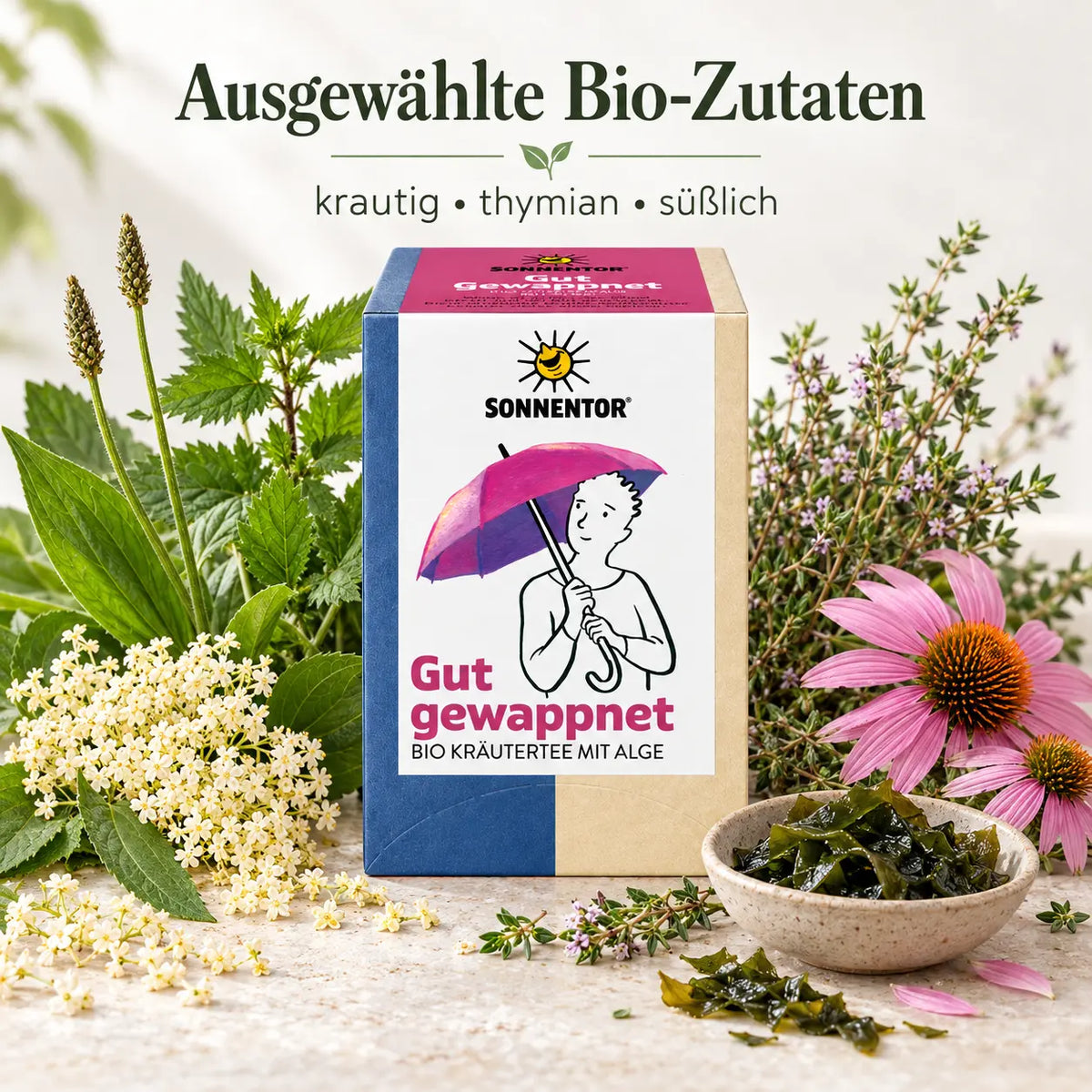 SONNENTOR Gut gewappnet Kräutertee mit Bio-Zutaten wie Echinacea, Spitzwegerich, Thymian und Wakame-Alge