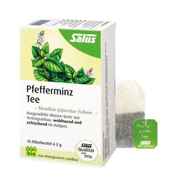 Salus Pfefferminz Tee bio 15 FB, 30g