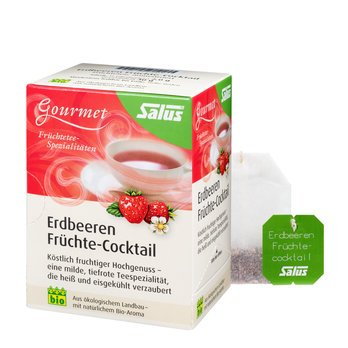 Salus Gourmet Erdbeeren Früchte-Cocktail bio 15FB, 30g