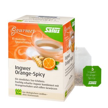 Salus Gourmet Orange-Spicy Ingwer Tee bio 15 FB, 30g